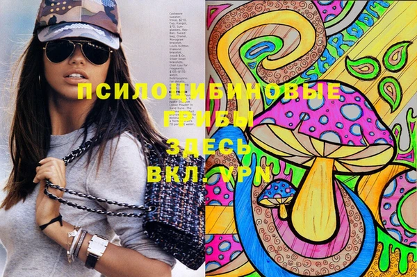 спайс Богородицк