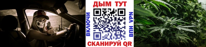 Конопля план  Купить где  Грязи 